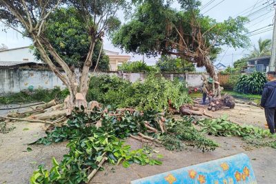 CÔNG TÁC CHUẨN BỊ CHO NĂM HỌC 2025 – 2026